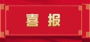 中标中国挪动通讯用磷酸铁锂电池集采名目